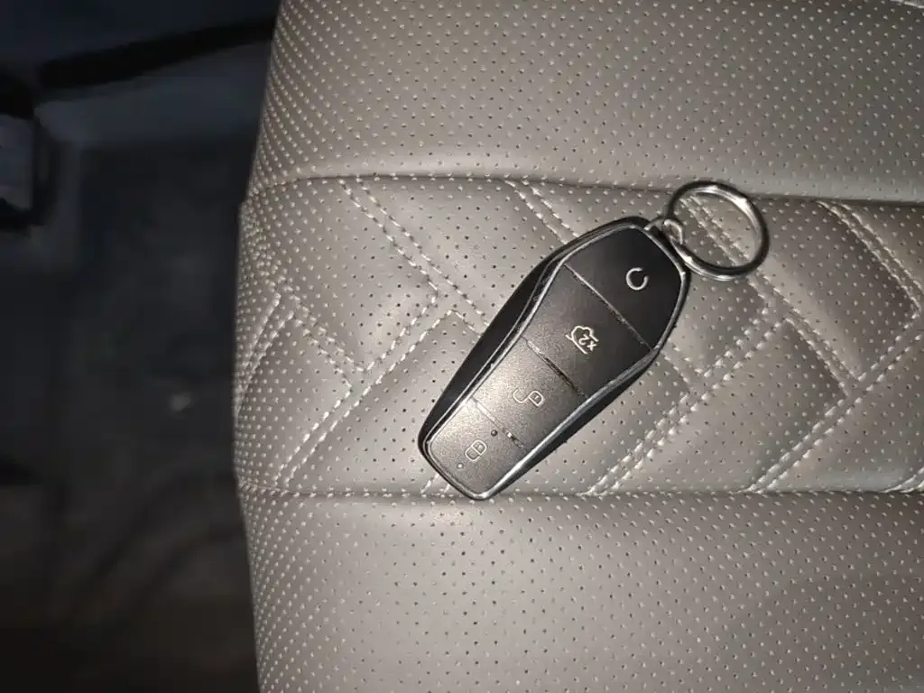 BYD L DM-i — фото 3