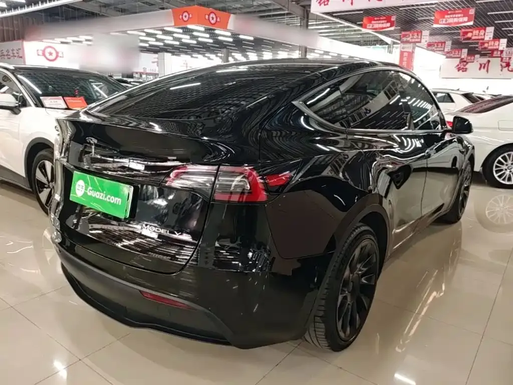 Tesla Model Y — фото 10