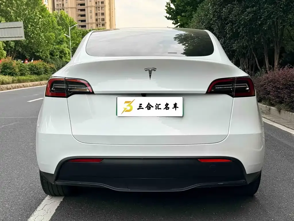 Tesla Model Y — фото 2