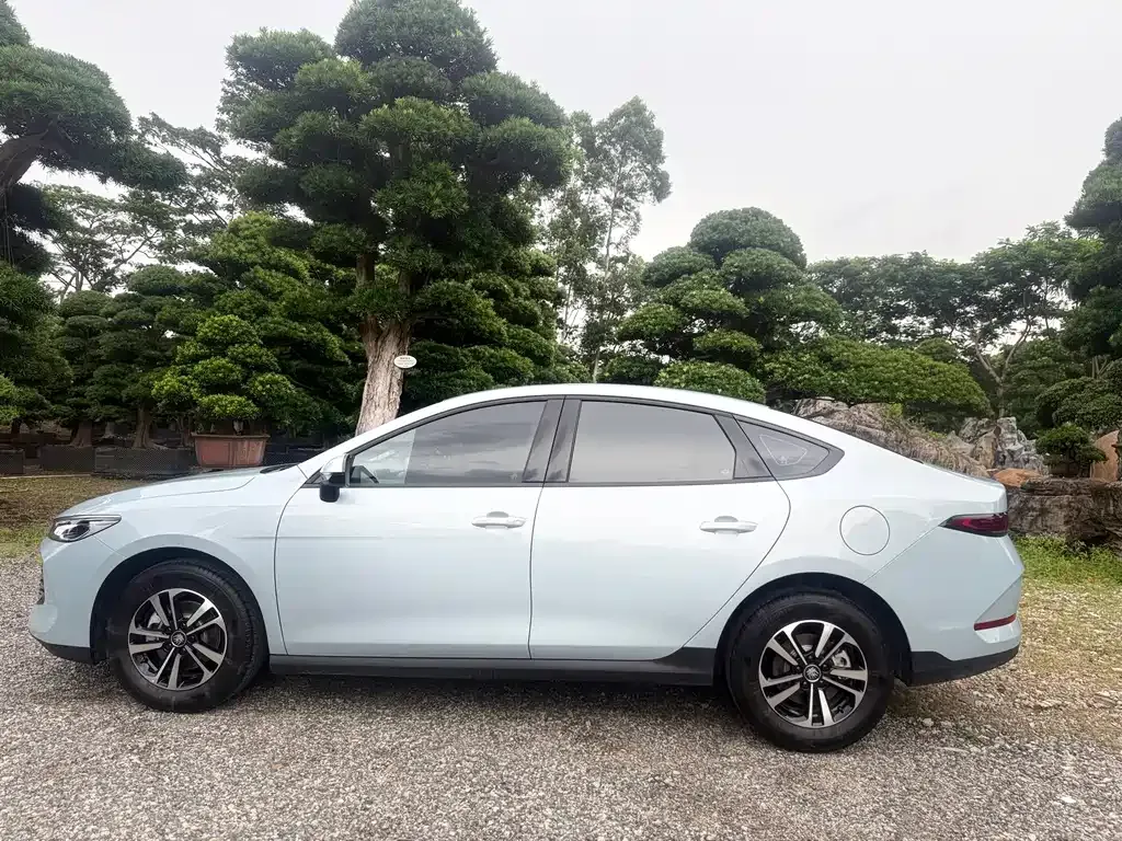 BYD Qin PLUS — фото 10