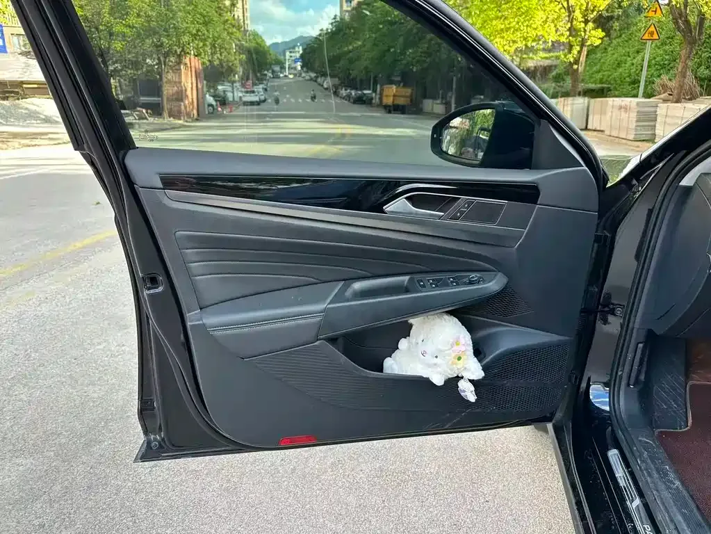 Volkswagen Passat — фото 8