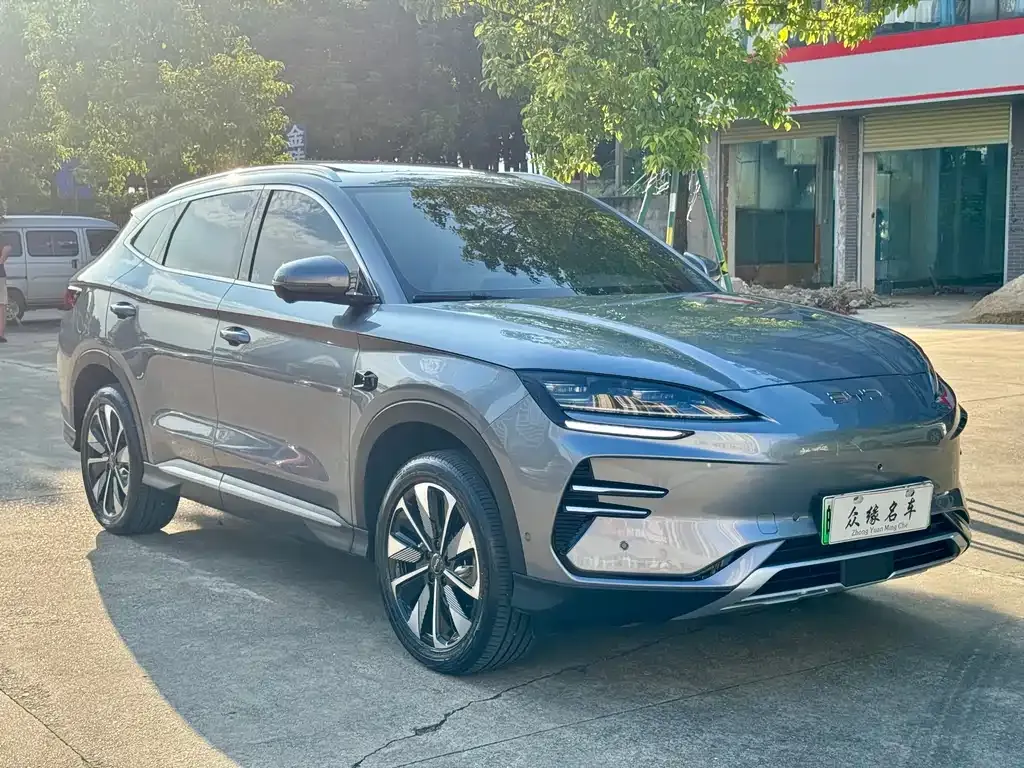 BYD PLUS New Energy — фото 8