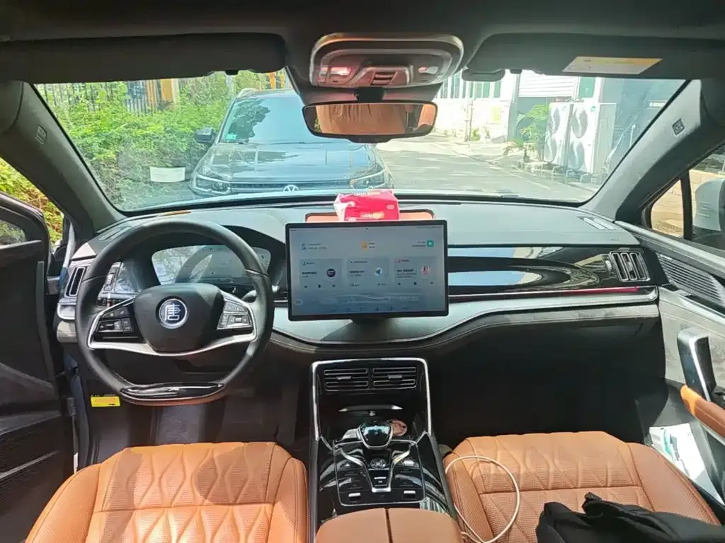 BYD Tang New Energy 2023 из CN, фото 3