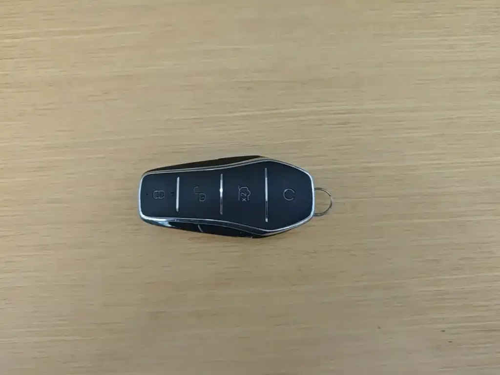 BYD Tang New Energy 2023 из CN, фото 2