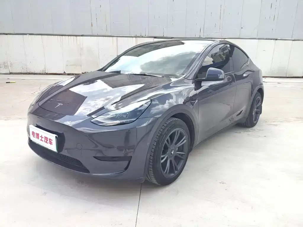 Tesla Model Y — фото 1