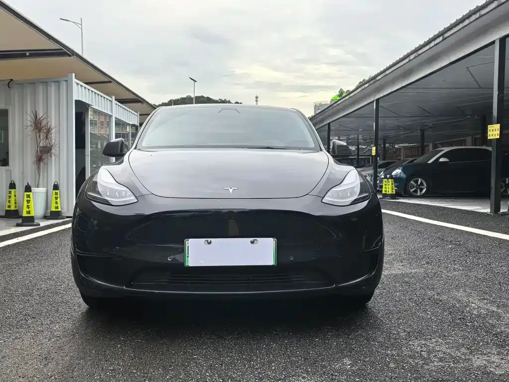 Tesla Model Y — фото 3