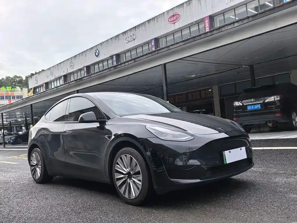 Tesla Model Y — фото 2