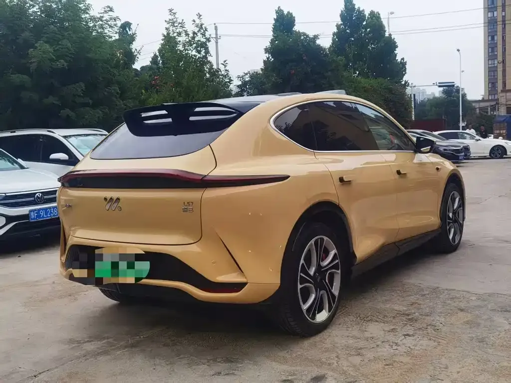 IM LS7 — фото 9