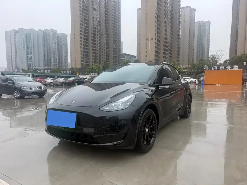 Tesla Model Y — фото 1