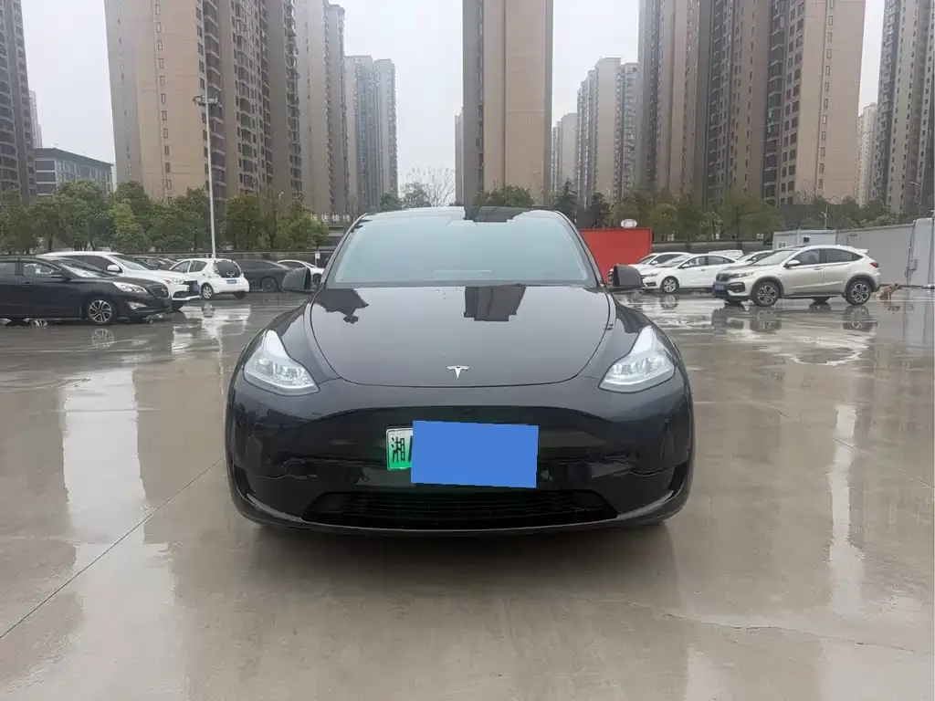 Tesla Model Y — фото 9