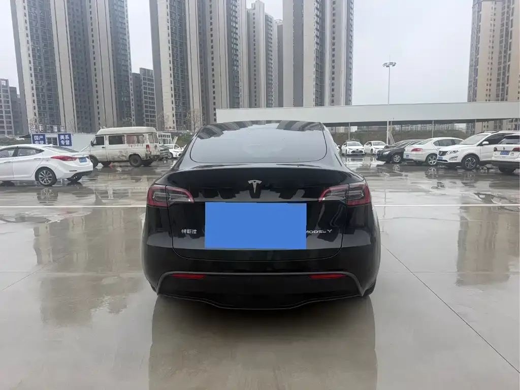 Tesla Model Y — фото 3