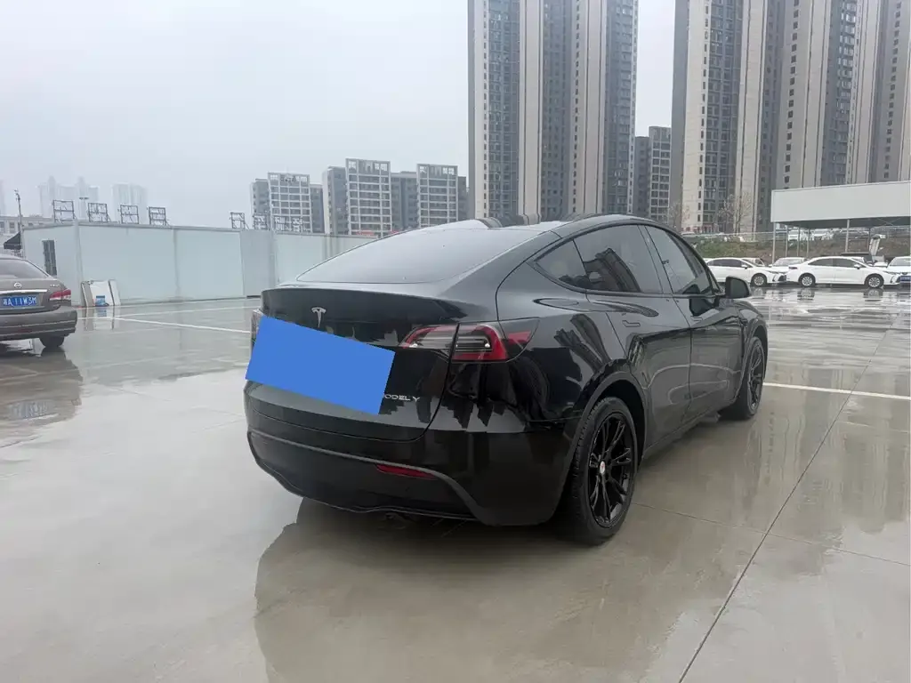 Tesla Model Y — фото 7