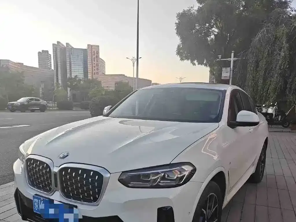 BMW X4 — фото 1