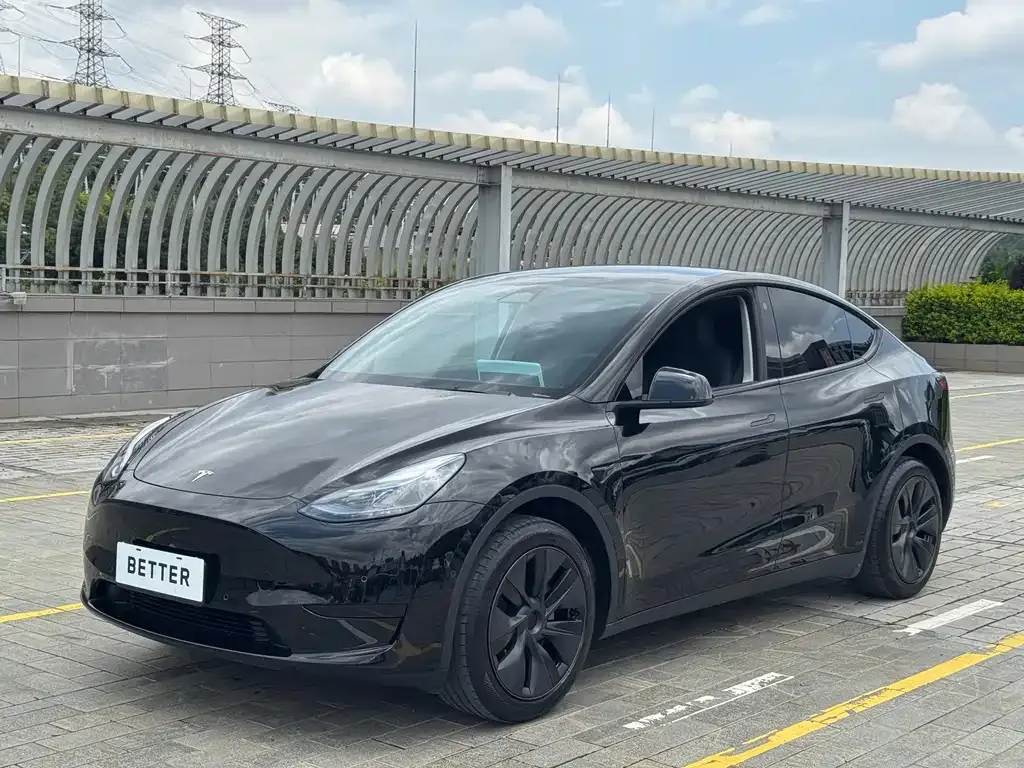 Tesla Model Y — фото 1
