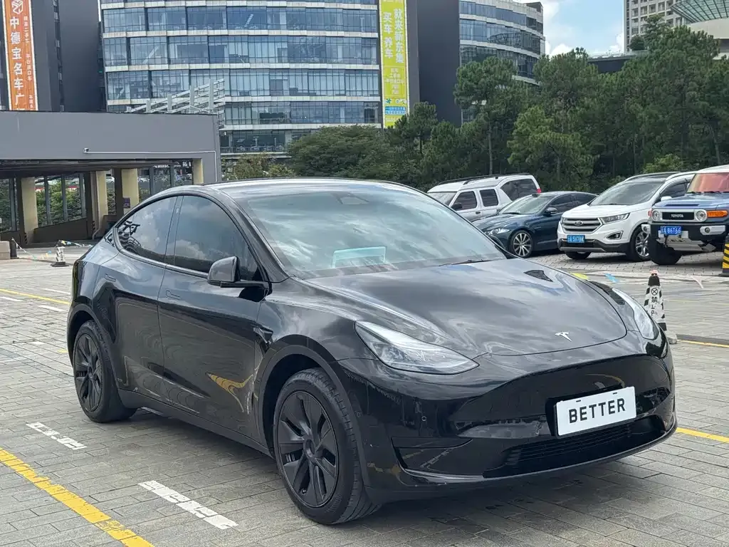 Tesla Model Y — фото 6