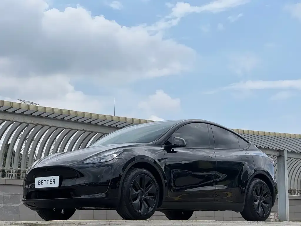 Tesla Model Y — фото 2