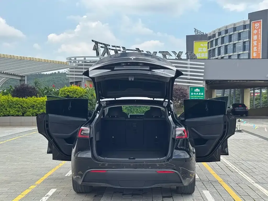 Tesla Model Y — фото 9