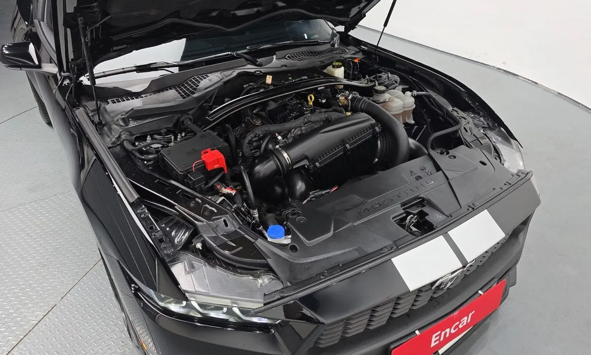 Ford Mustang 2024 из KR, фото 8