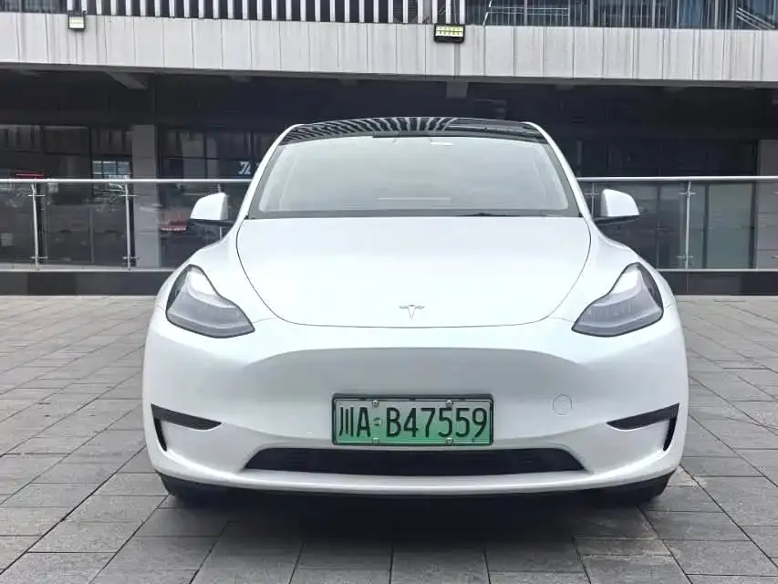 Tesla Model Y — фото 2