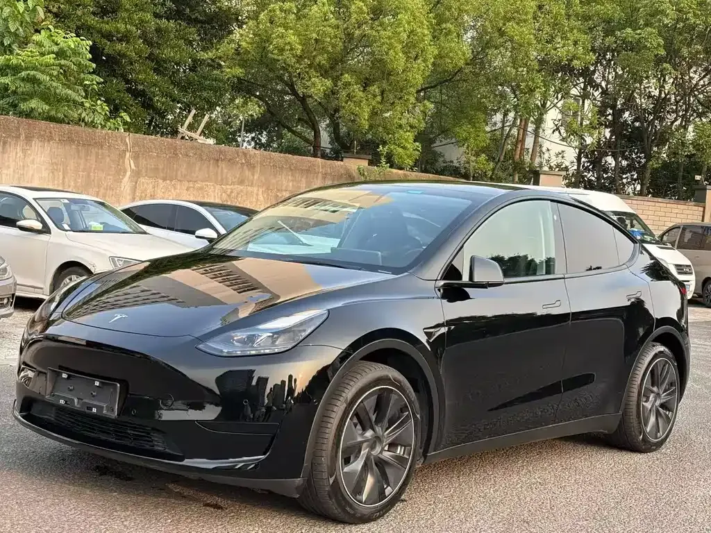 Tesla Model Y — фото 10