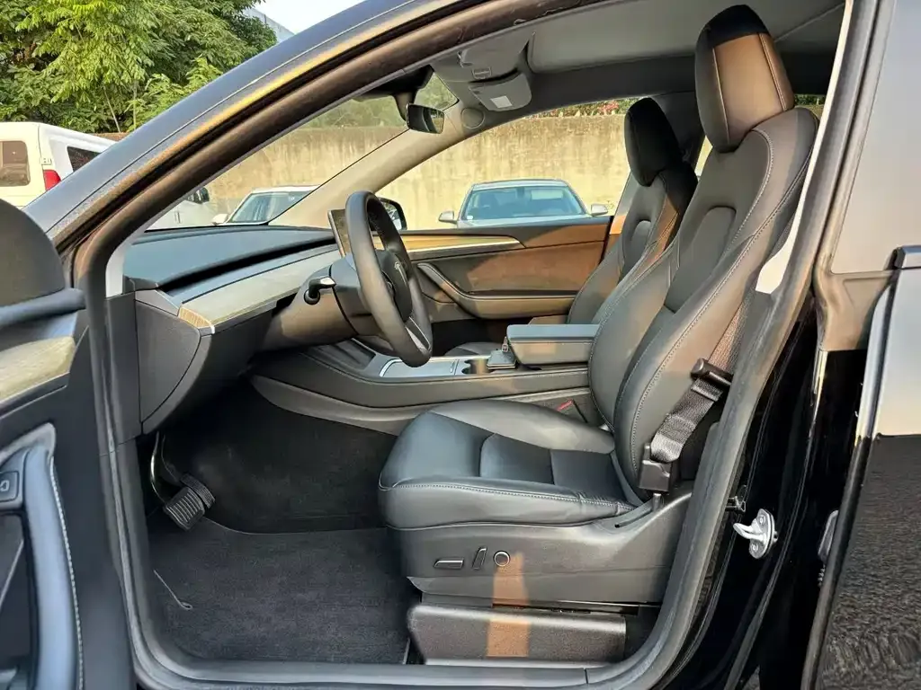 Tesla Model Y — фото 2