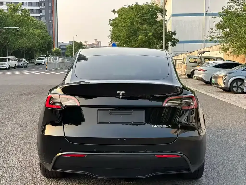 Tesla Model Y — фото 5