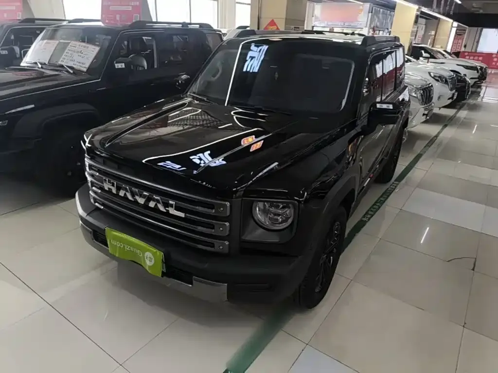 Haval Menglong New Energy — фото 1