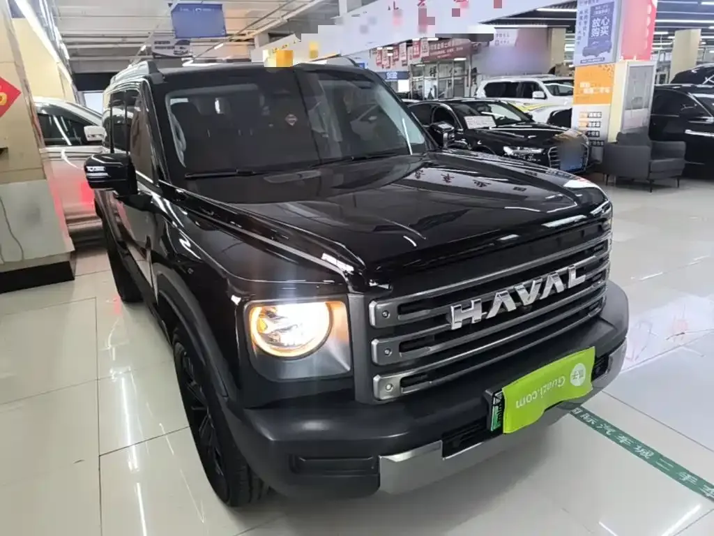 Haval Menglong New Energy — фото 9