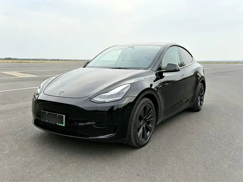 Tesla Model Y — фото 1