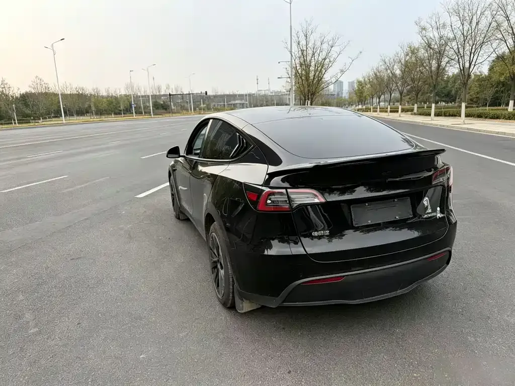 Tesla Model Y — фото 9