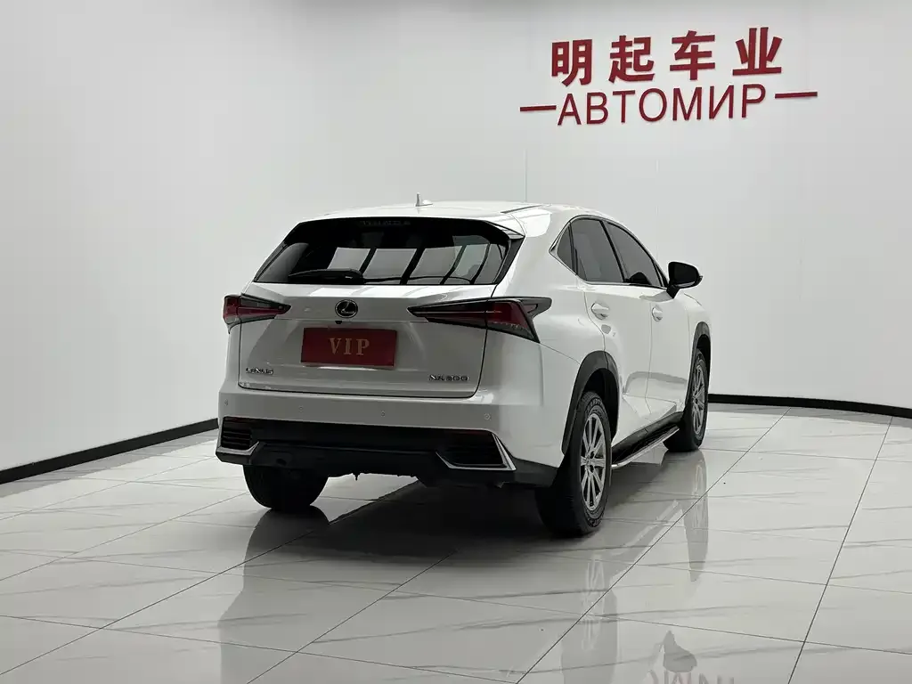 Lexus NX — фото 5