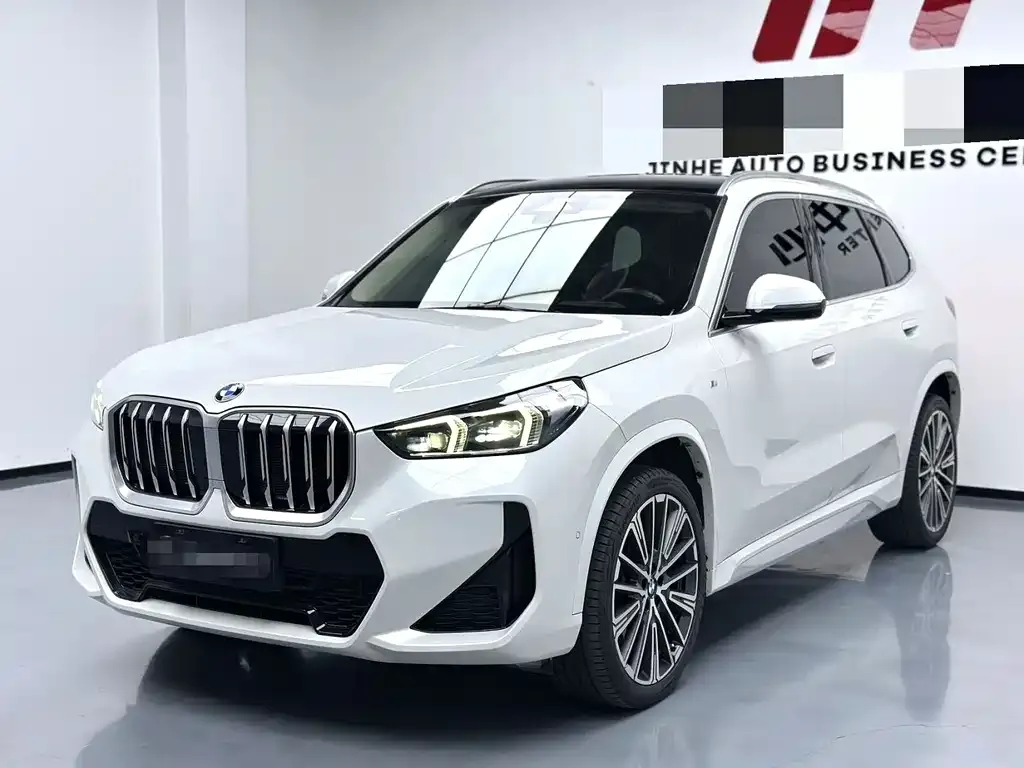 BMW X1 — фото 1