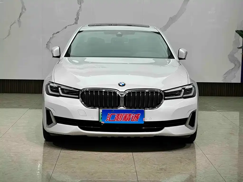 BMW 5 Series New Energy — фото 3