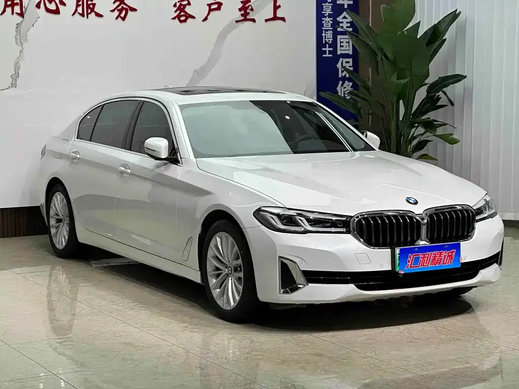 BMW 5 Series New Energy — фото 4