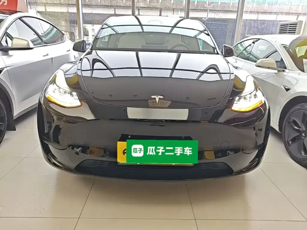 Tesla Model Y — фото 10