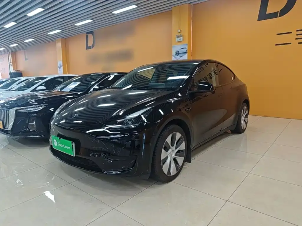 Tesla Model Y — фото 10