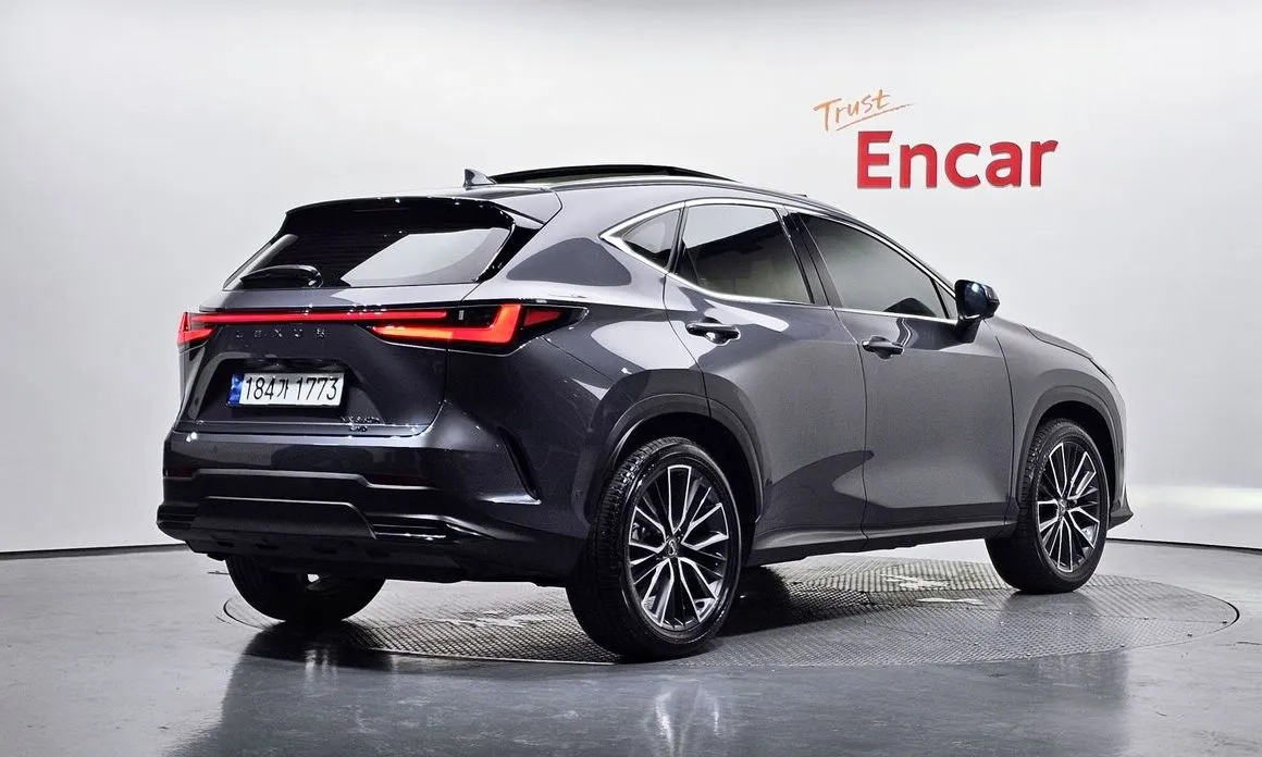 Lexus NX 2024 из KR, фото 8