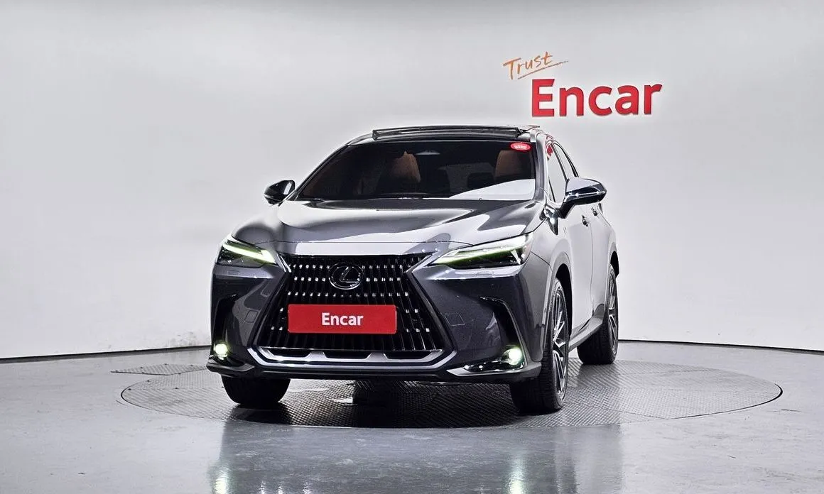 Lexus NX 2024 из KR, фото 6