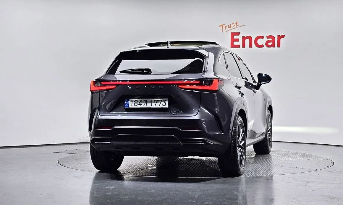 Lexus NX 2024 из KR, фото 7