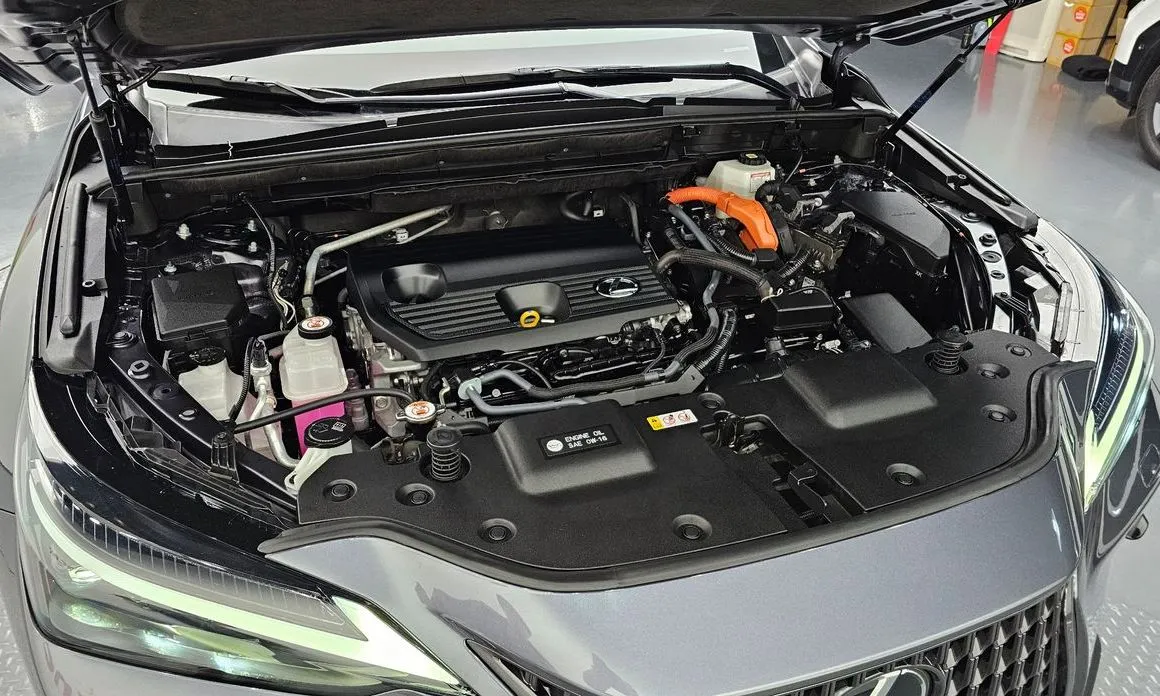 Lexus NX 2024 из KR, фото 10