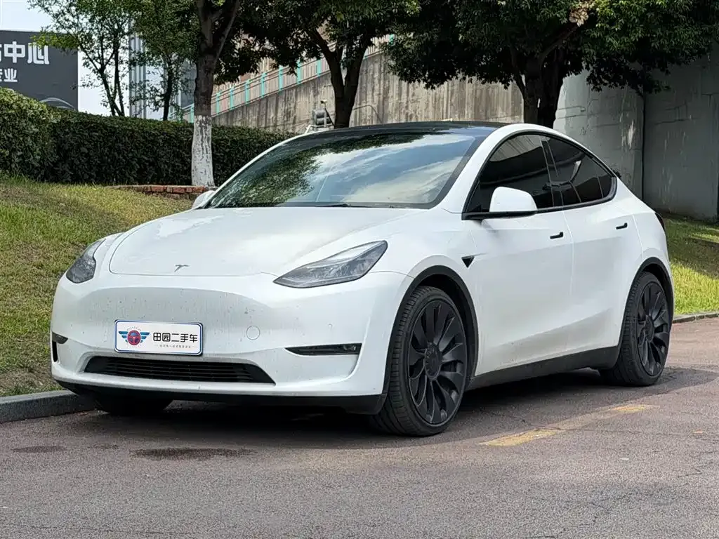 Tesla Model Y — фото 1
