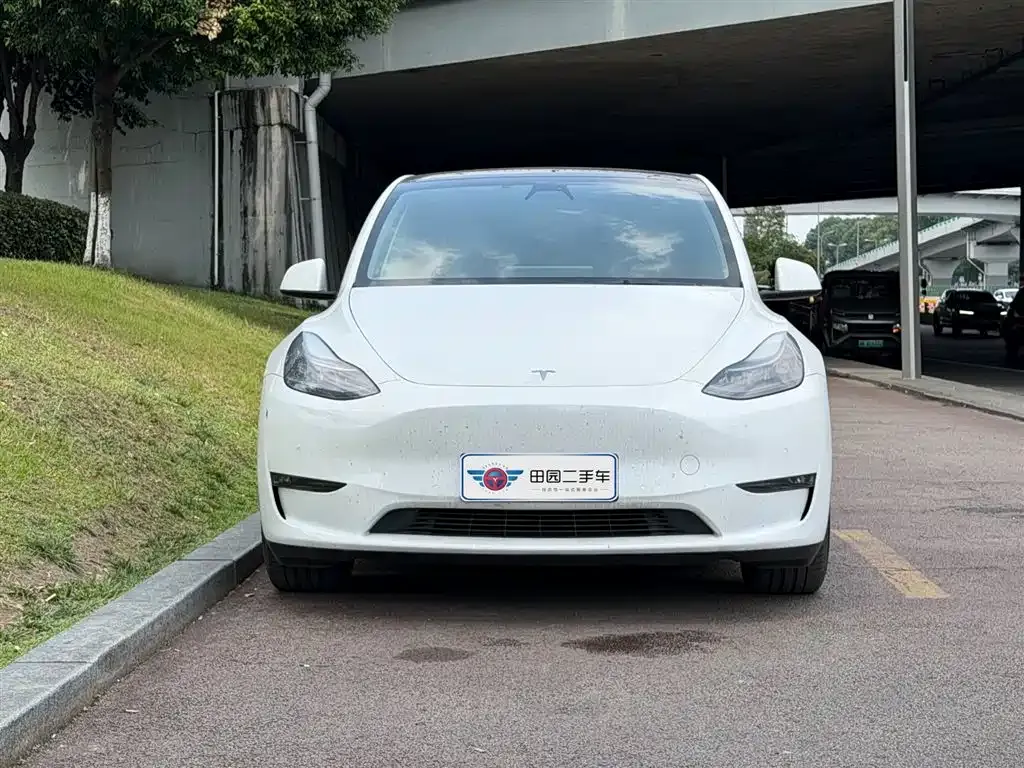 Tesla Model Y — фото 10