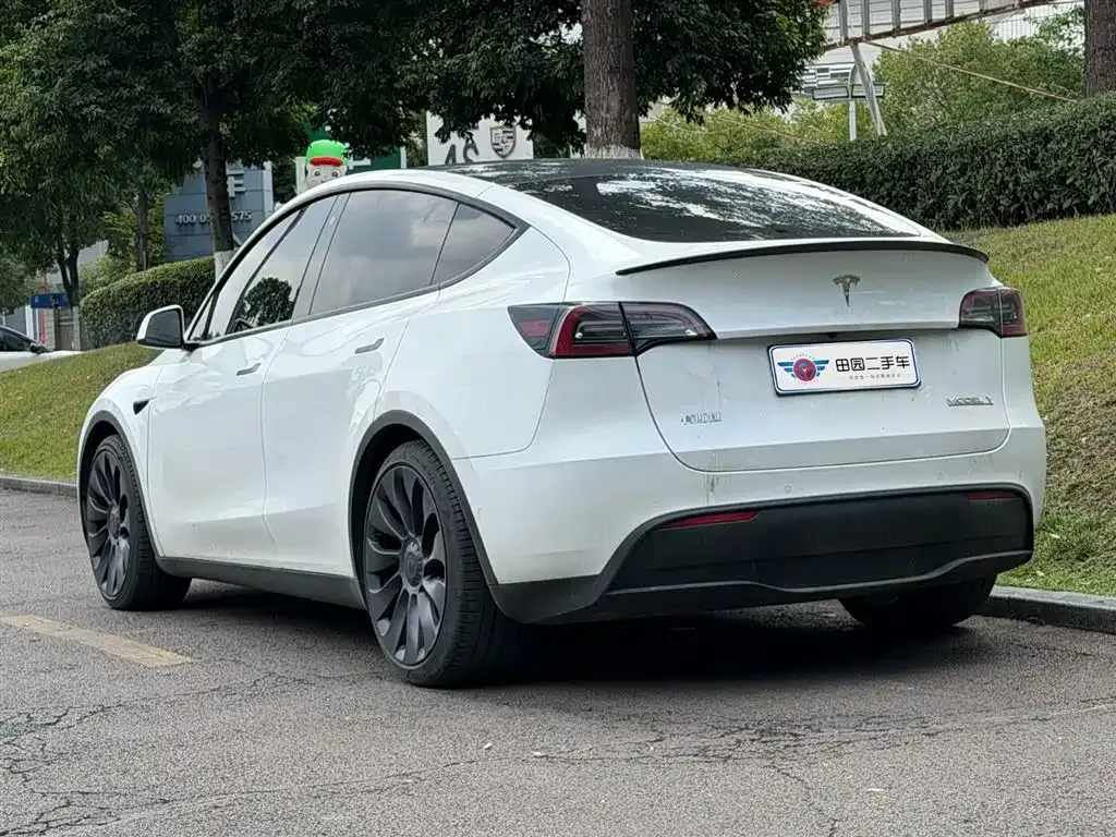 Tesla Model Y — фото 8