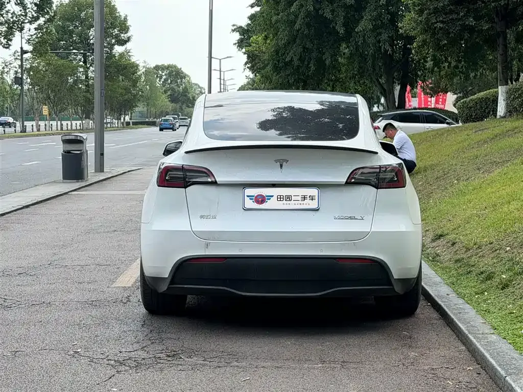Tesla Model Y — фото 9
