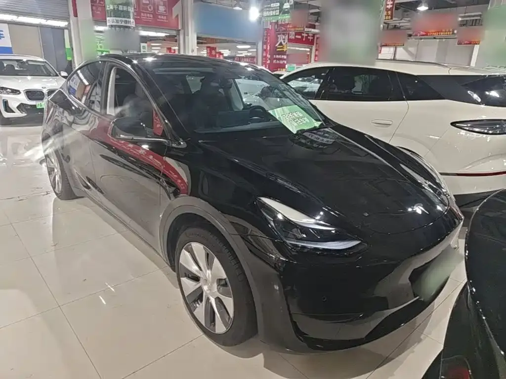 Tesla Model Y — фото 8