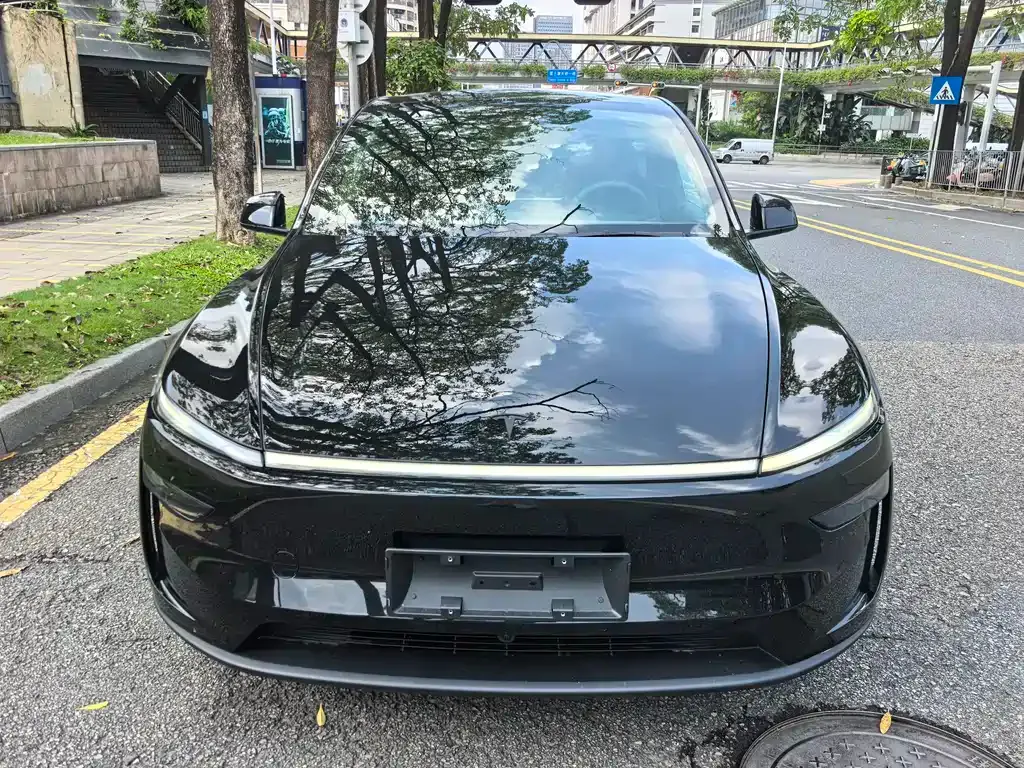 Tesla Model Y — фото 10
