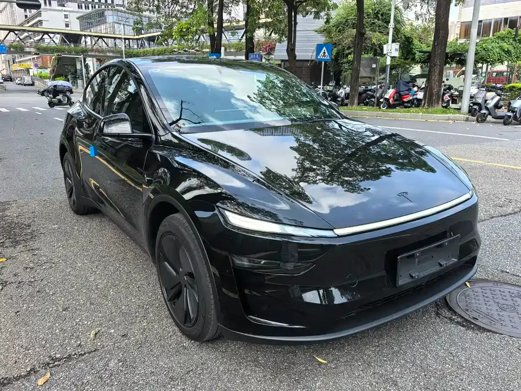 Tesla Model Y — фото 8