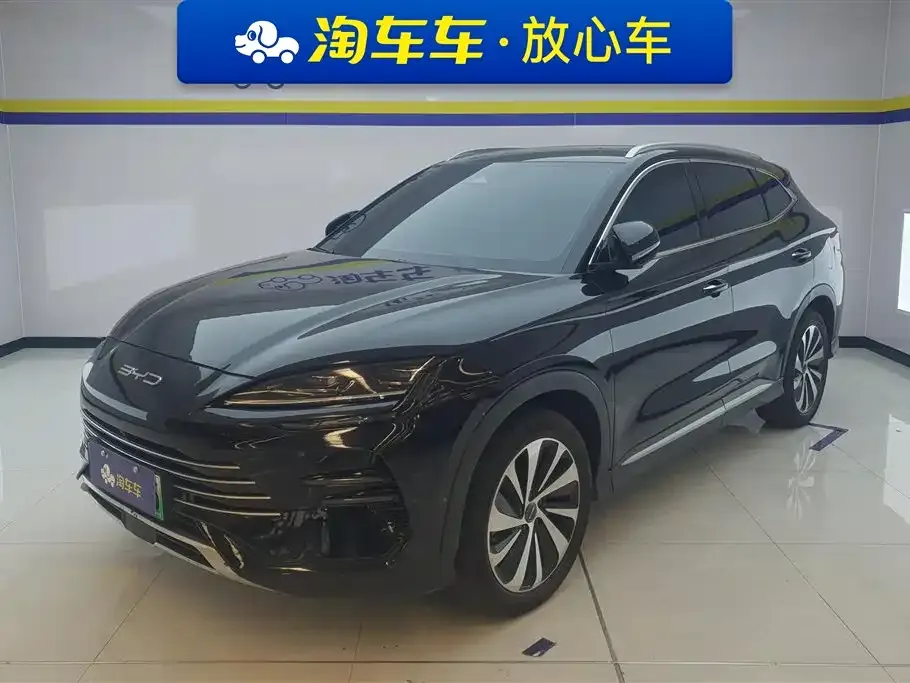 BYD PLUS New Energy — фото 1
