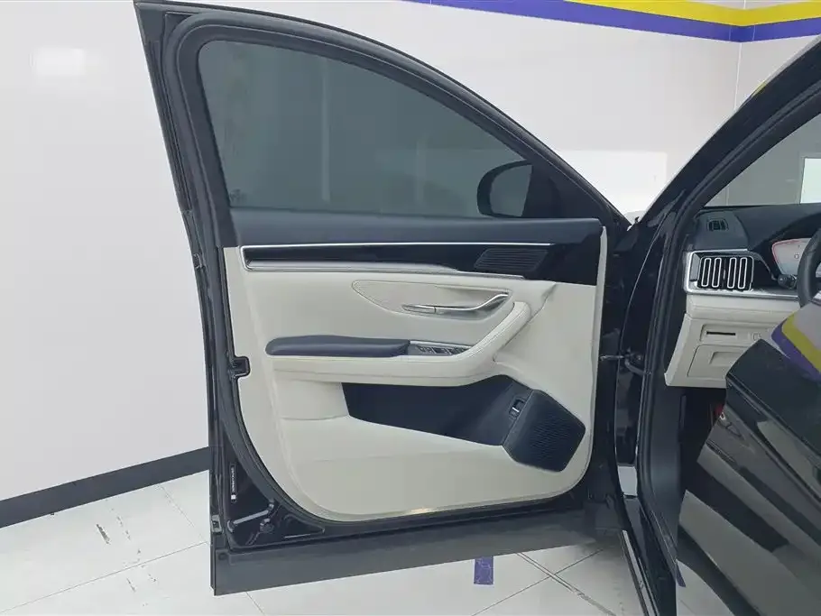 BYD PLUS New Energy — фото 4