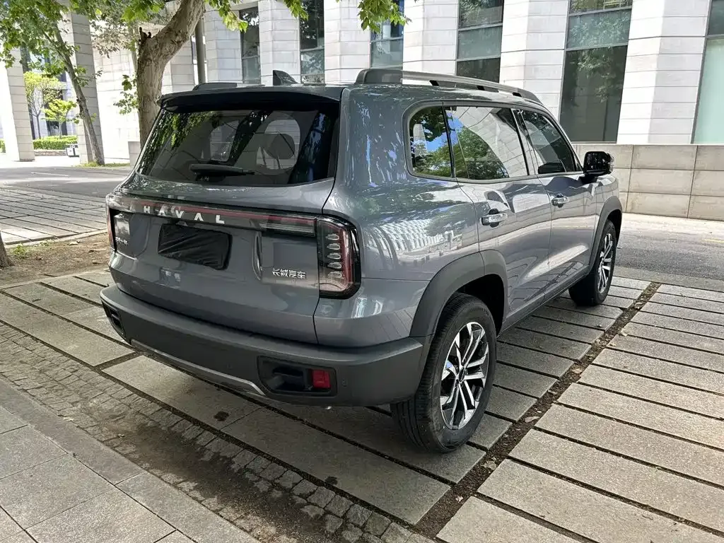Haval Big Dog 2024 из CN, фото 8